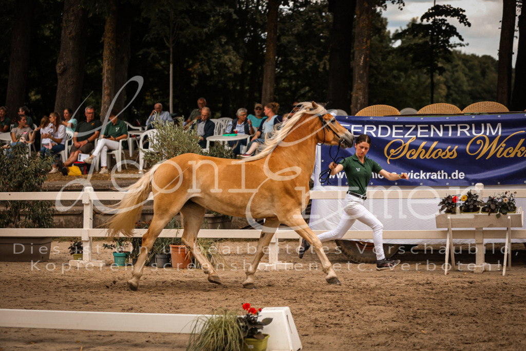 06.So00105 | Leoni Ertmer Photography - Realisiert mit Pictrs.com