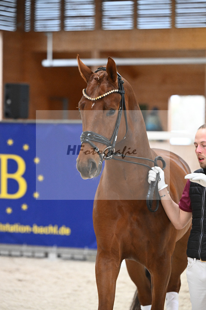 Devotion_7240541 | hf-fotografie - Realisiert mit Pictrs.com