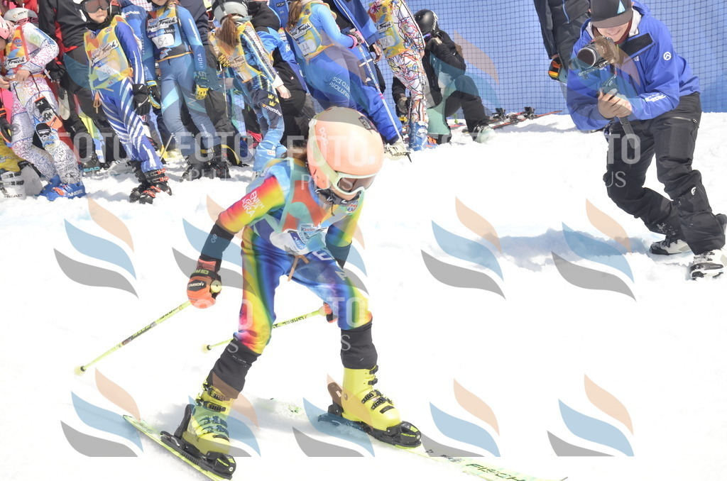 _ELE8530 | holidayphoto