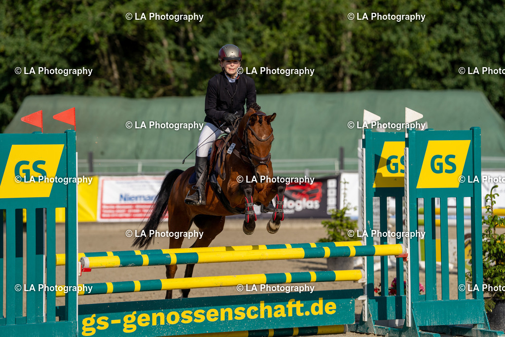 DSC04148 | Entdecke einzigartige Turnierfotos und persönliche Pferde- und Hundeportraits bei LA Photography. Für jeden Reiter und Pferd das perfekte Bild! Stöbere jetzt! - Realisiert mit Pictrs.com