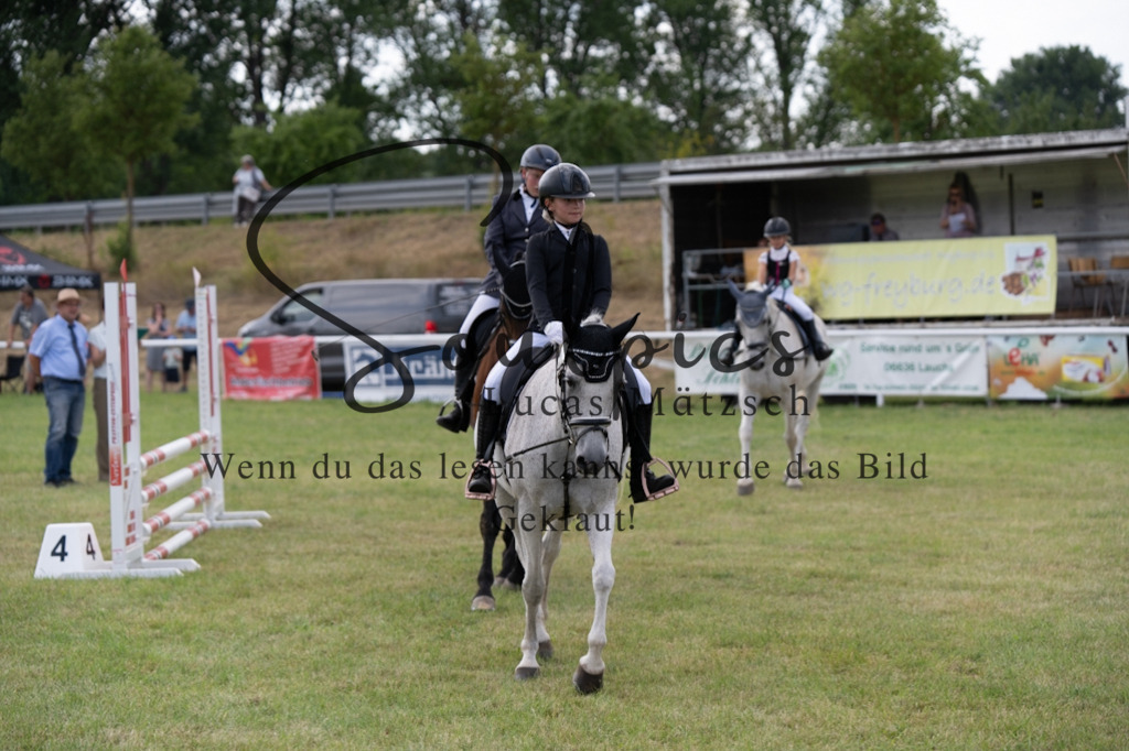 A7V00416 | Pferdefotograf