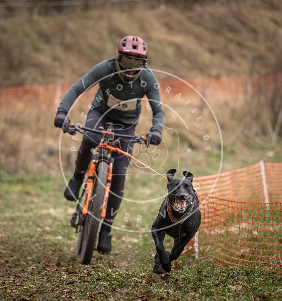 Pfotenfotografie_DV3A6870 | Hundefotografie, Tierfotograf, Pfotenfotografie, Fotoshooting Hund, Hunde Portrait, Hundesport, Hundeportraits, Heideshooting, Hunde, Sportfotograf, Hundefotograf, Turnierhundsport, THS,  - Realisiert mit Pictrs.com