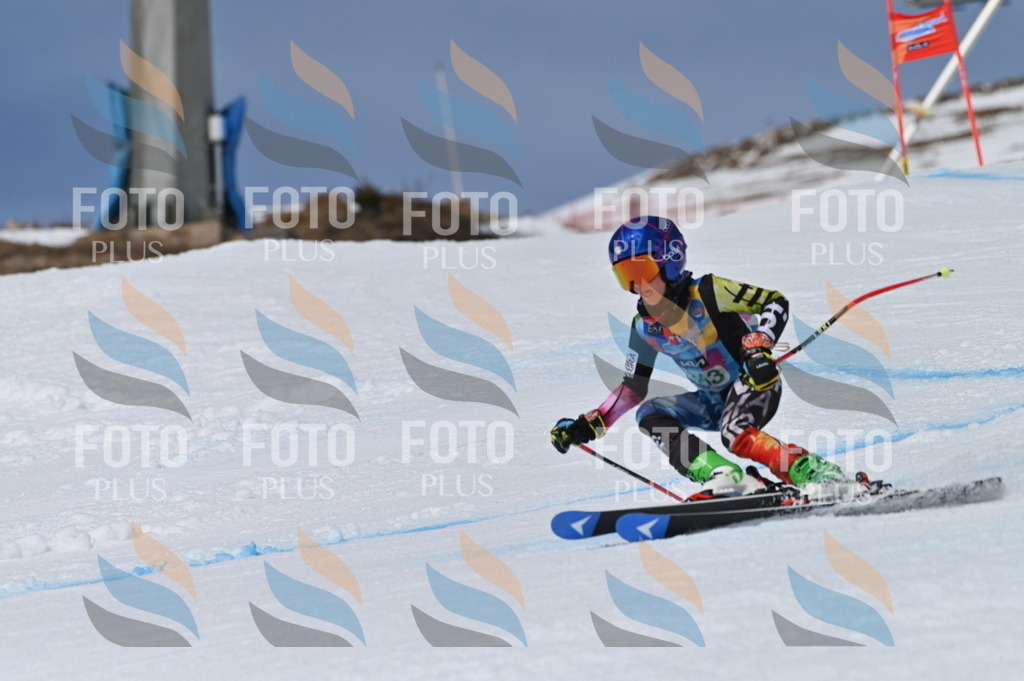 BGV_6826 | holidayphoto