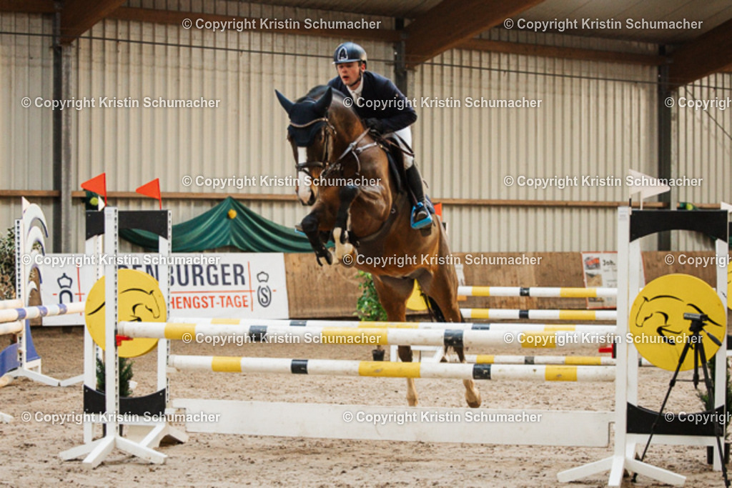 Springpferde A_-4 | Kristin Schumacher Photography