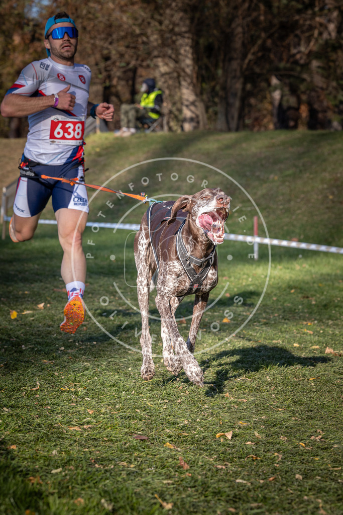 CaniXpix_0L8A8982 | Hundefotografie, Tierfotograf, Pfotenfotografie, Fotoshooting Hund, Hunde Portrait, Hundesport, Hundeportraits, Heideshooting, Hunde, Sportfotograf, Hundefotograf, Turnierhundsport, THS,  - Realisiert mit Pictrs.com