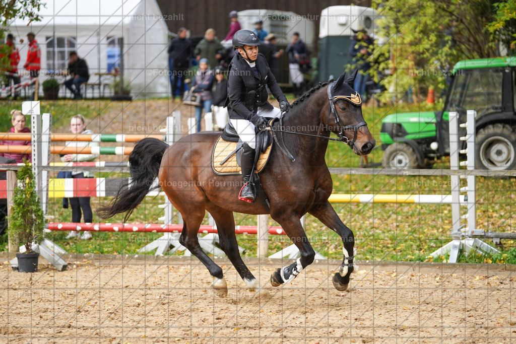 20221009-FAH08416 | Diessen am Ammersee, 2022, Dressur- und Springturnier, Reitsportbilder, Turnierfotografen Bayern, Pferdefotografen, Fotoagentur Herrmann, Turnierbilder