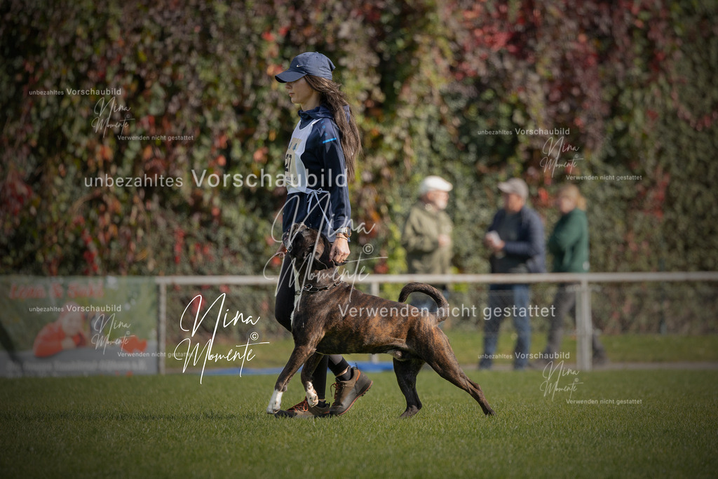 _16A5676-1 | Einzigartige Fotos von Hunden & Menschen –Actionfotos, Portraits, Vereinsaufnahmen & Paarshootings – authentisch, lebendig & mit Herz.