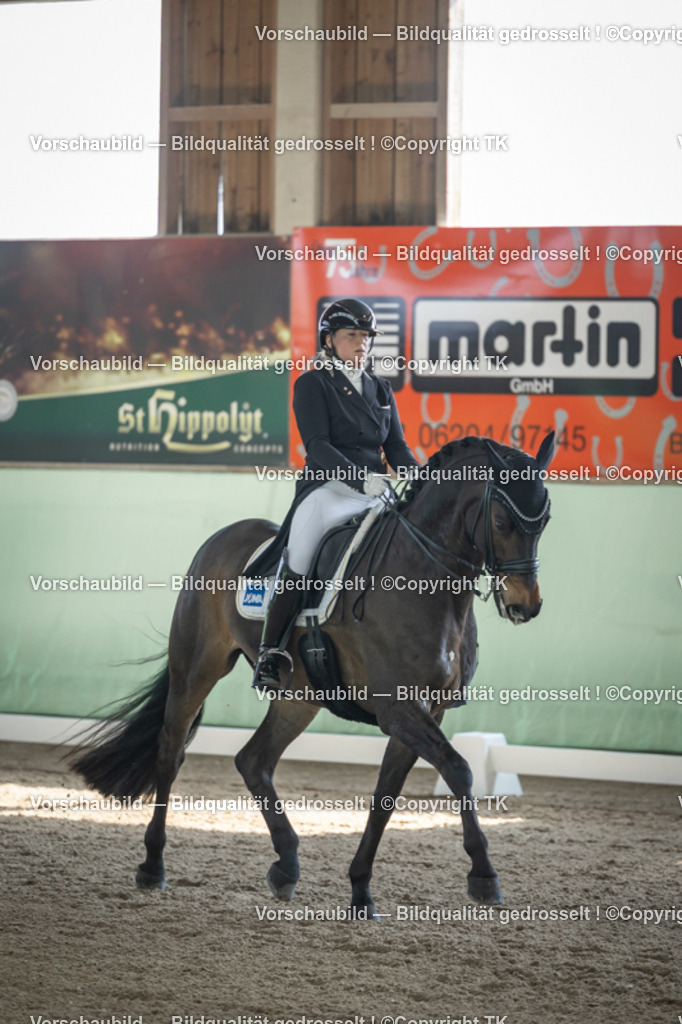 _D5A9508 | Emotionale Pferde- & People-Fotografie rund um Heidelberg, Leimen & Umgebung. Natürliche Fotos von Pferd, Mensch & Familie. Jetzt Termin sichern!