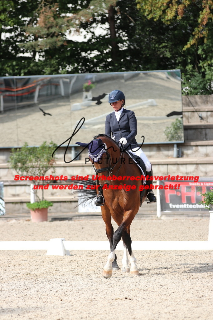 IMG_6533 | lmwpictures - Realisiert mit Pictrs.com