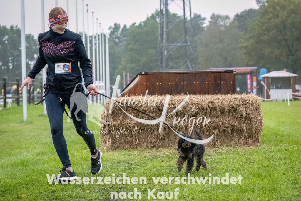 0952-_ZZ94795-Bearbeitet | kk-dogfotos