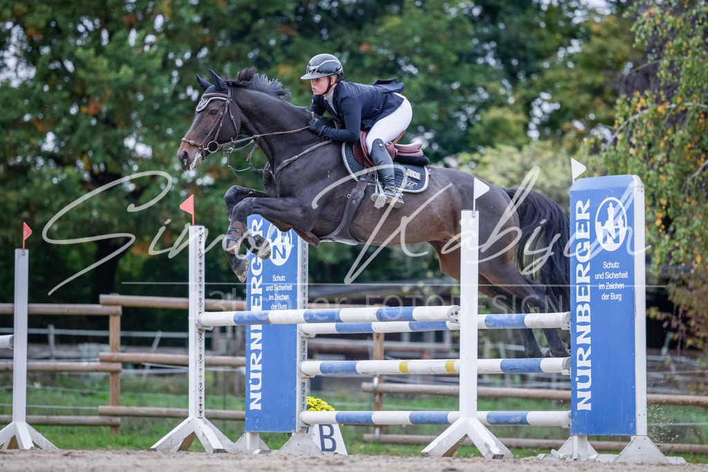20251012-_3LI5108 | Tierfotografie Pferde, Hunde, Katzen, Haustiere.
Turnierfotografie Reitturniere, Reiten, Springreiten, Dressur in Hanau, dem Main-Kinzig-Kreis und dem Rhein-Main- Gebiet um Frankfurt