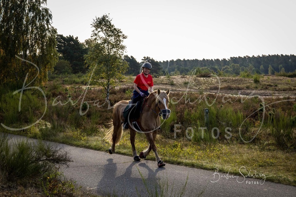 DdLH-TrotBy_2025-09-20_46 | Fotografie, Veranstaltungs-Fotografie, Pferde-Fotografie, Landschafts-Fotografie, Reise-Fotografie - Realisiert mit Pictrs.com