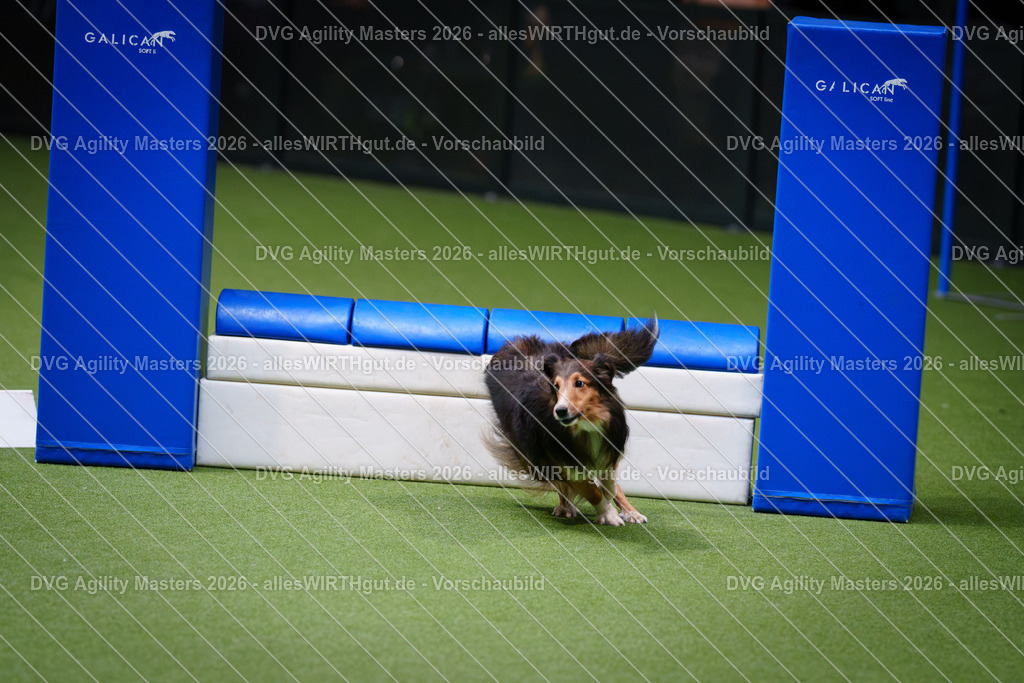 allesWIRTHgut_Tierfotografie-DVG_Agility_Masters_2026-13_50-7R500103 | Professionelle Tierfotografie in Mönchengladbach von Daniel Wirth (allesWIRTHgut). Liebevolle & natürliche Bilder von Hunden & Katzen für unvergessliche Erinnerungen.