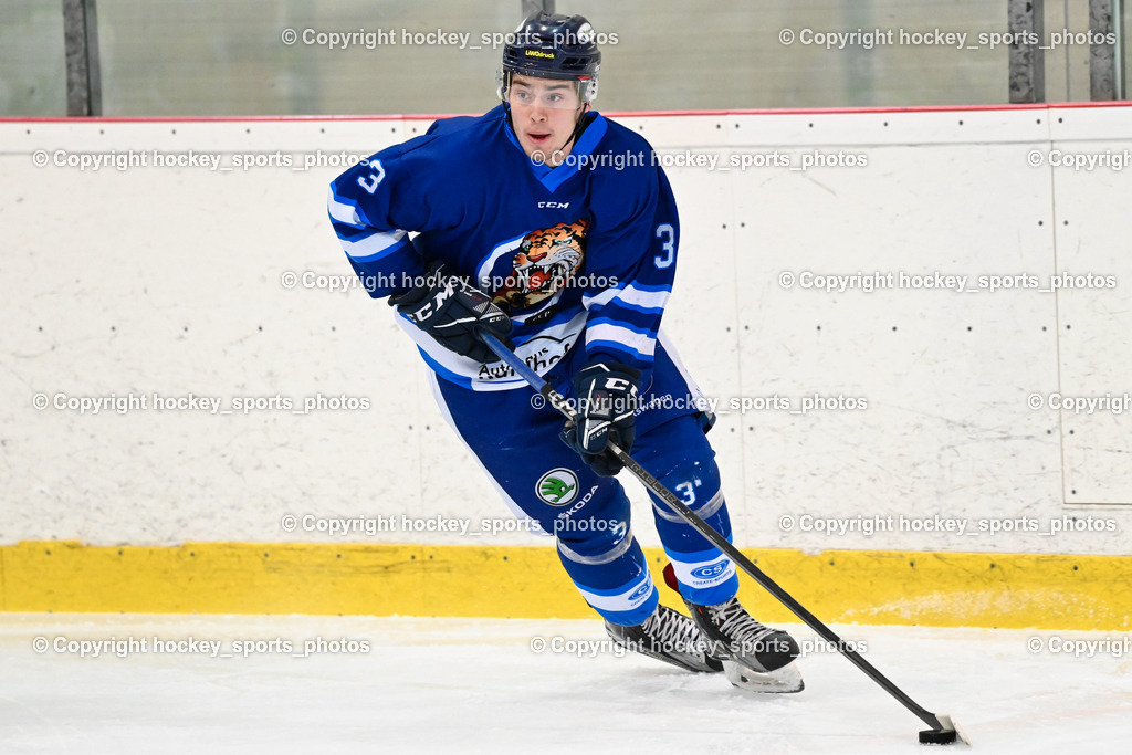  EC Tigers Paternion vs. EC Virgen 8.1.2022 | #3 Kronawetter Piersilvio