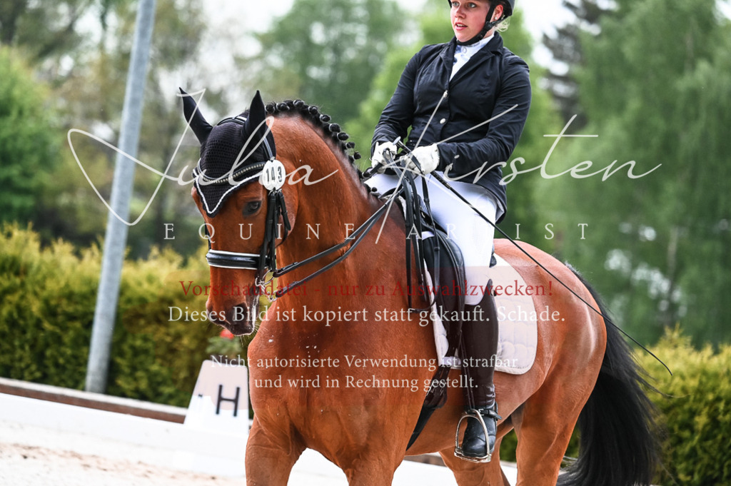 DSC_4388 | Pferde- und Turnierfotografie in Westsachsen. Pferdeportraits, Auftragszeichnungen und intuitive Kunst.