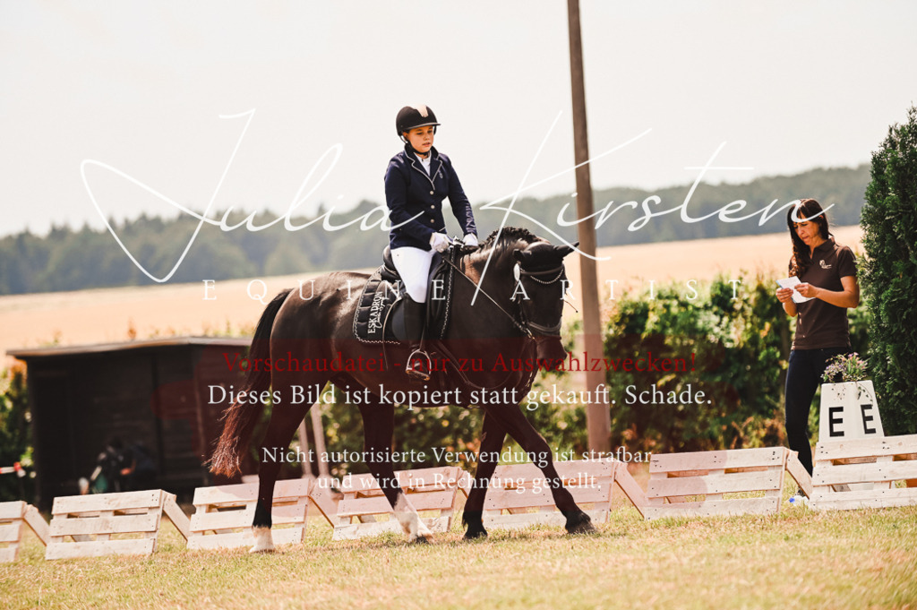 DSC_6309 | Pferde- und Turnierfotografie in Westsachsen. Pferdeportraits, Auftragszeichnungen und intuitive Kunst.