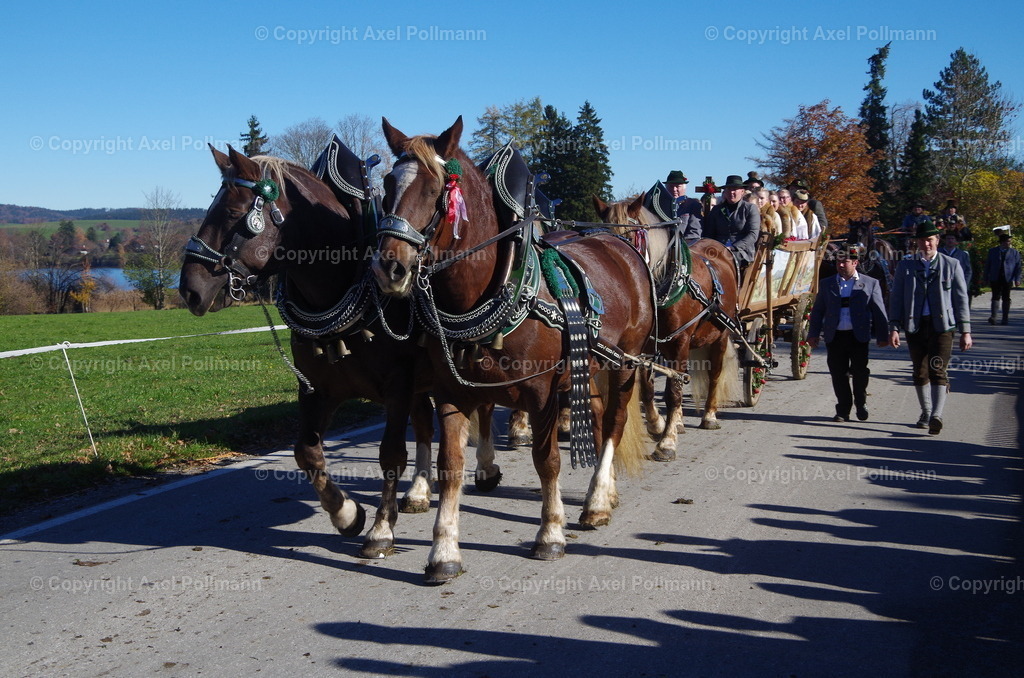 IMGP8388 | fotografiert von Axel PollmannLeonhardi Wallfahrt Benediktbeuern und Murnau, Fronleichnam, Fasching, Landschaft im Loisachtal und Benediktbeuern  - Realisiert mit Pictrs.com