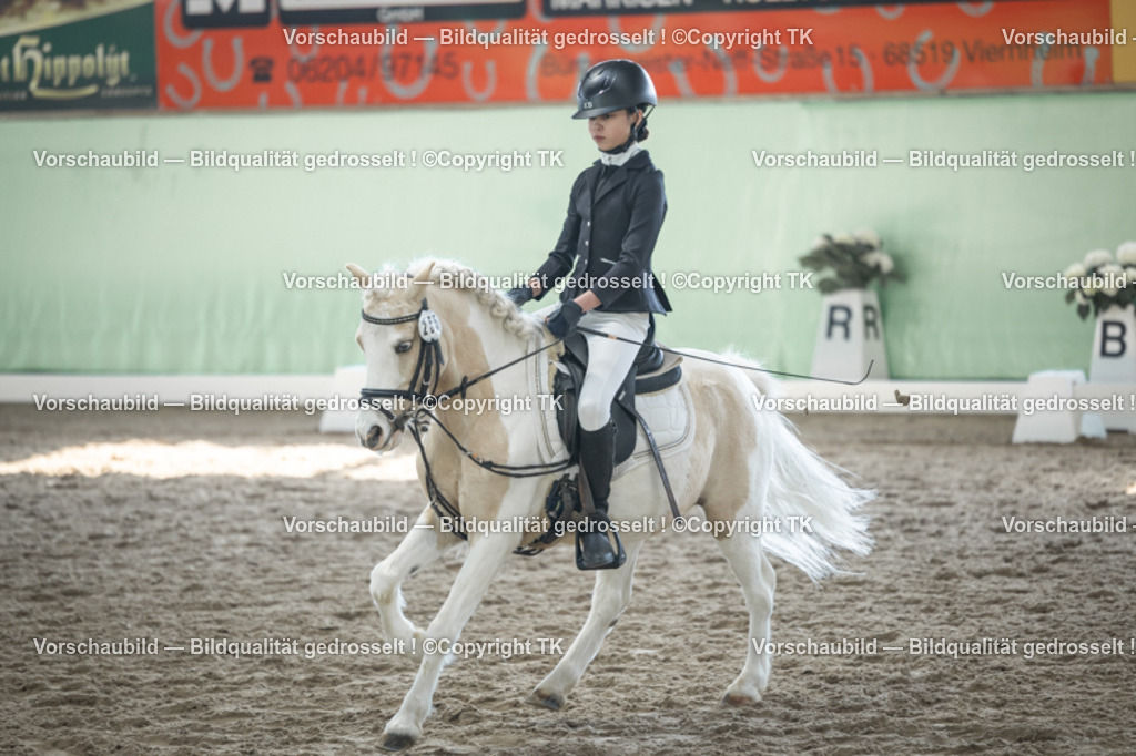 _D5A9102 | Emotionale Pferde- & People-Fotografie rund um Heidelberg, Leimen & Umgebung. Natürliche Fotos von Pferd, Mensch & Familie. Jetzt Termin sichern!