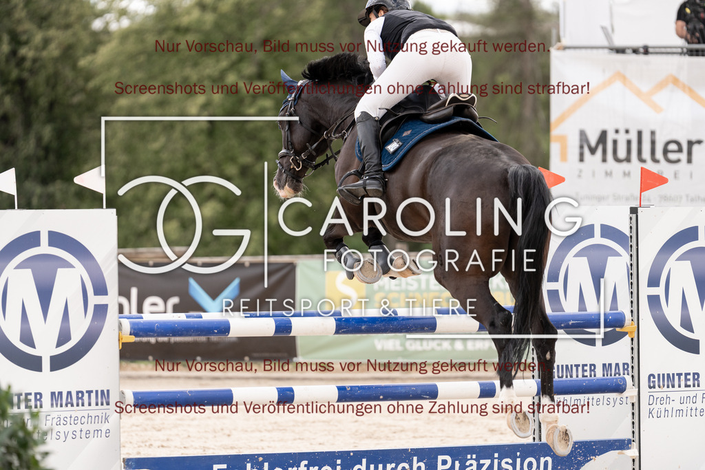 DSC06691 | Springturnier_Teamchallege_Talheim_2026, Katharina_Buck, Ultimo_137