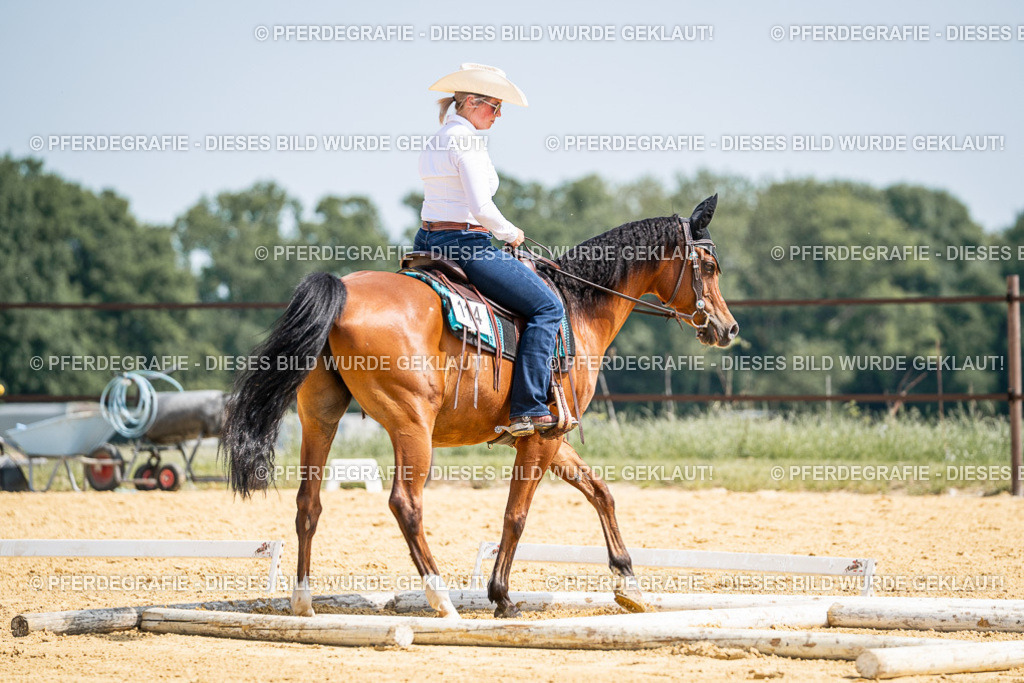 DSC00416 | Pferdegrafie