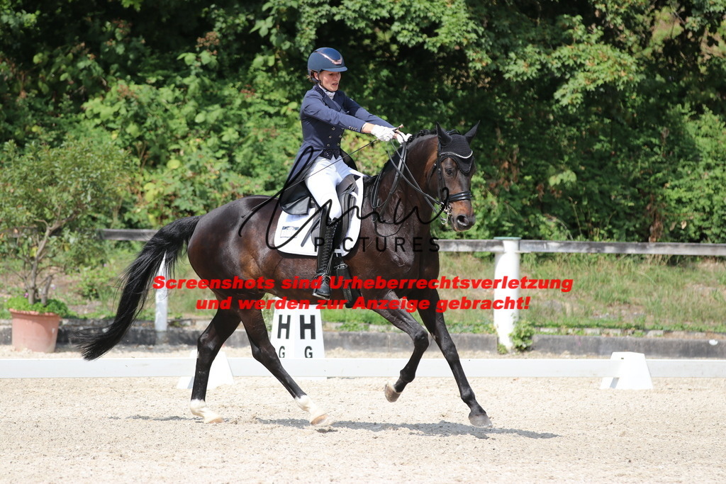 IMG_7201 | lmwpictures - Realisiert mit Pictrs.com