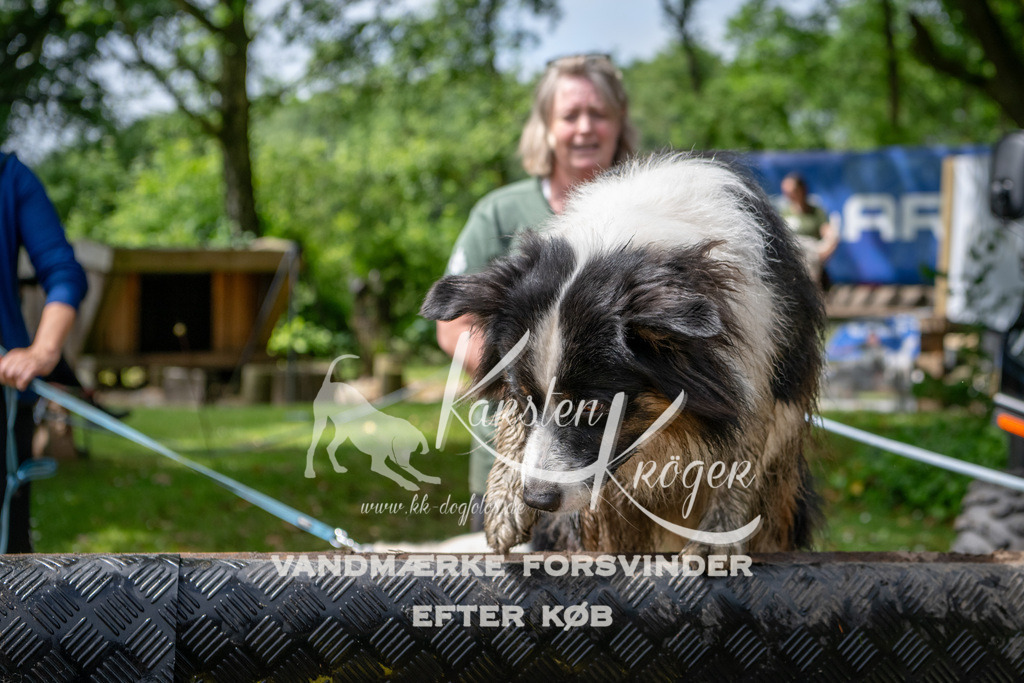 1124_ZZ94073 | kk-dogfotos