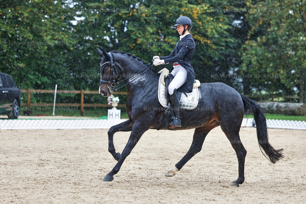8_1-027-Klasse S_  -StoibPH-4017 | working equitationturnier fotograf videograf stoibphotography marixx film working equitation deutschland reitsport turnierfotografie eventfotografie equestrian events