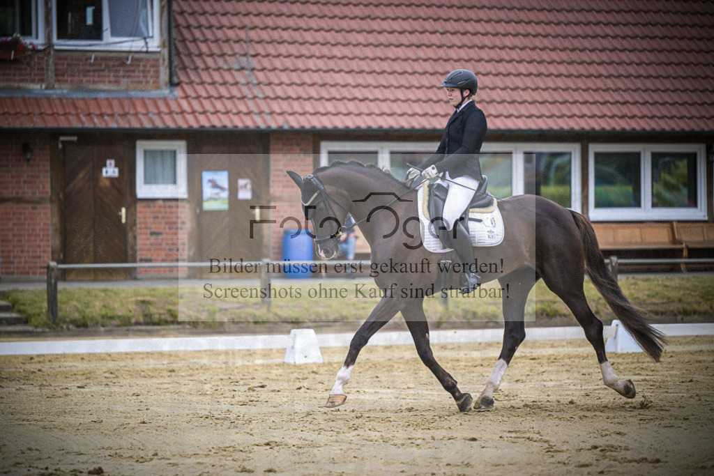 DOS_2411 | Entdecke hochwertige Reitturnierfotos von Foto Oger. Professionell, emotional und authentisch – jetzt Lieblingsmomente im Shop bestellen.Deutschlandweite Turnierfotografie. - Realisiert mit Pictrs.com