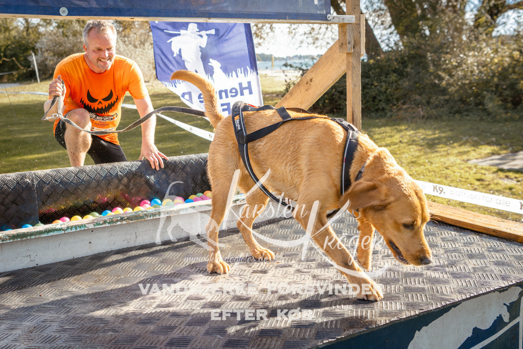 1430_ZZ94633-2 | kk-dogfotos