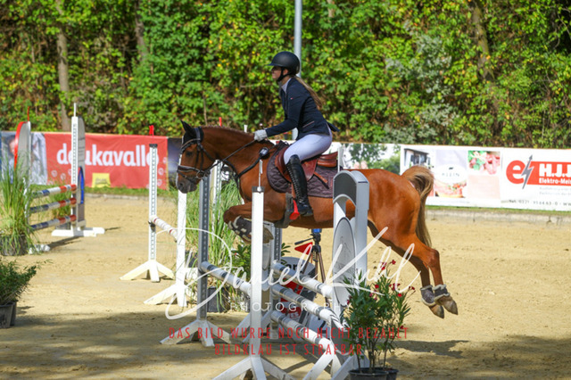 DKP42339 | Turniersportfotografie; Pferdefotografie; Dressurfotografie