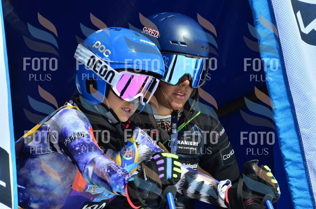 _ELE0756 | holidayphoto