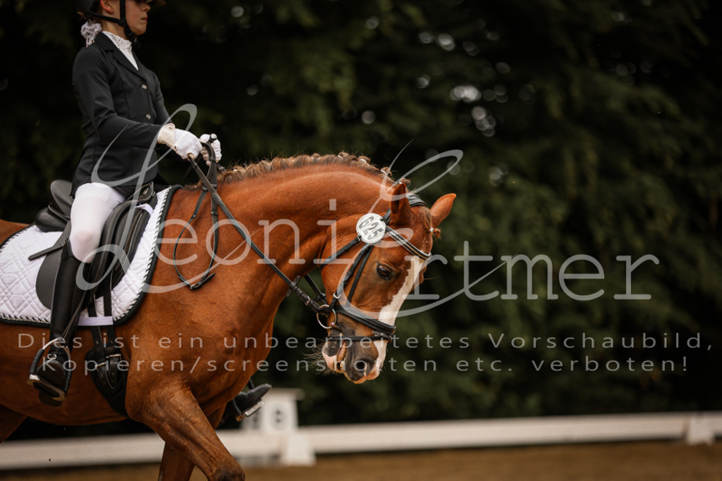 DoDrE00435 | Leoni Ertmer Photography - Realisiert mit Pictrs.com