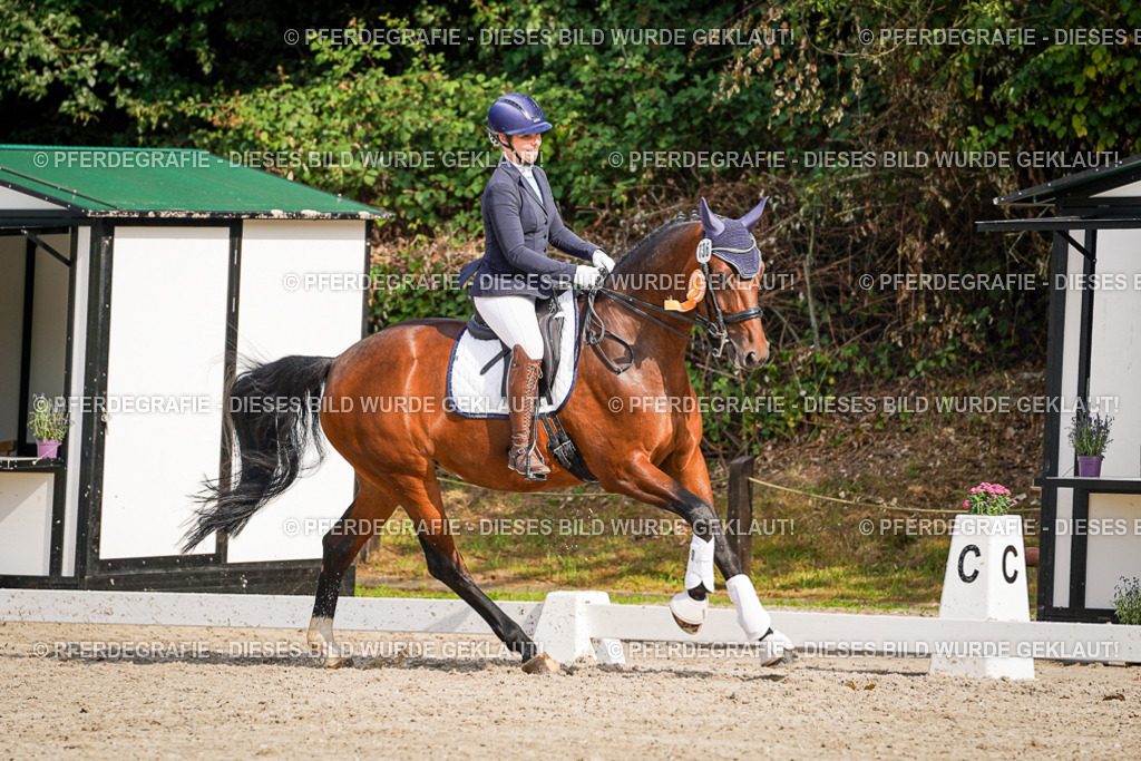 DSC07629 | Pferdegrafie