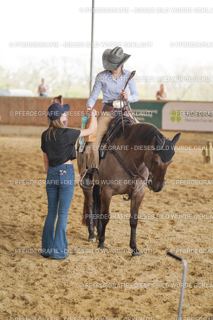 DSC02288 | Pferdegrafie