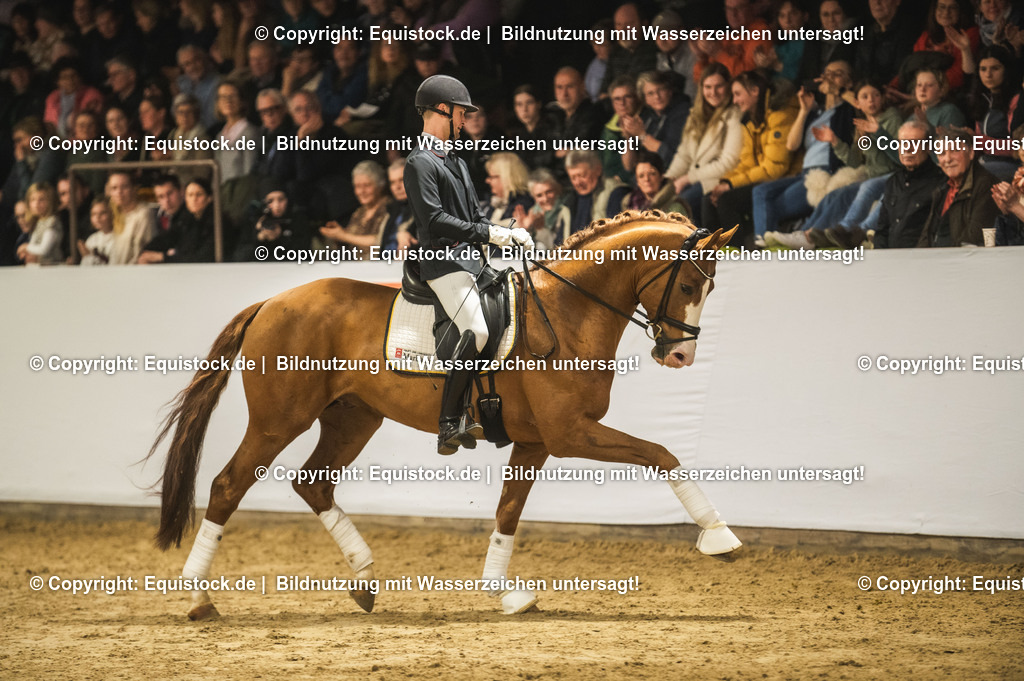 20240302_Hengstvorstellung_Marbach_TOMsPiC_0585 | equistock