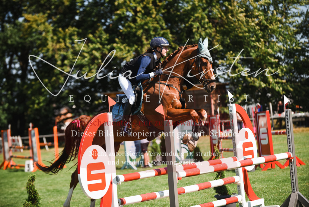 DSC_2847 | Pferde- und Turnierfotografie in Westsachsen. Pferdeportraits, Auftragszeichnungen und intuitive Kunst.