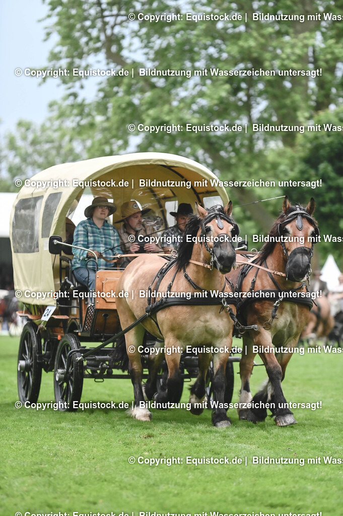20240517_Lange-Pferdenacht_0139 | Foto: Thomas Hartig
