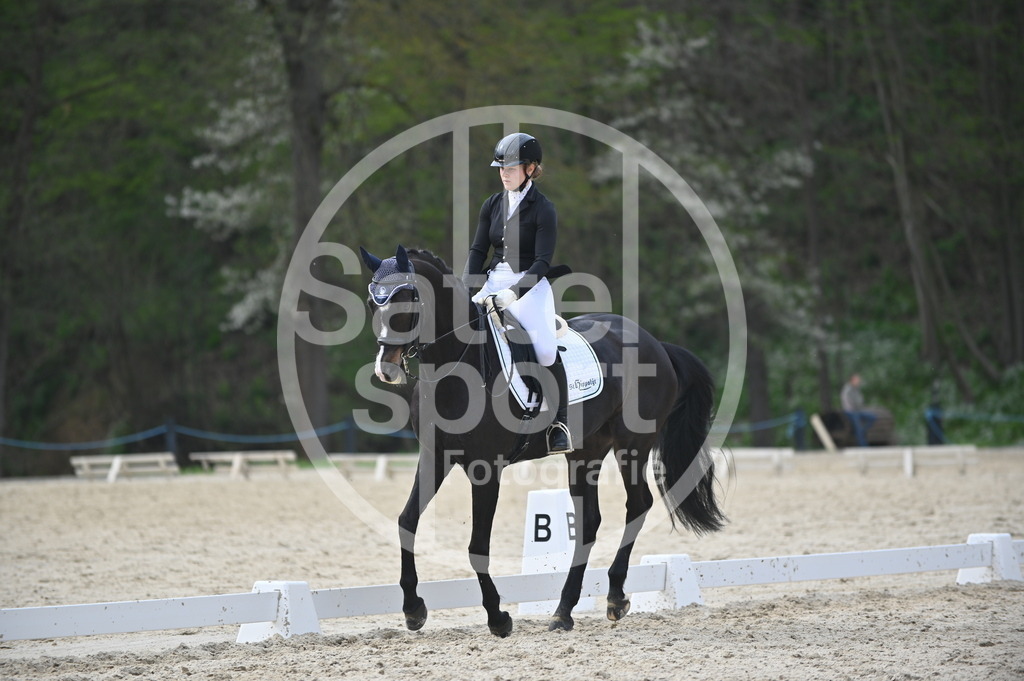 DSC_4921 | sattelsport - Realisiert mit Pictrs.com