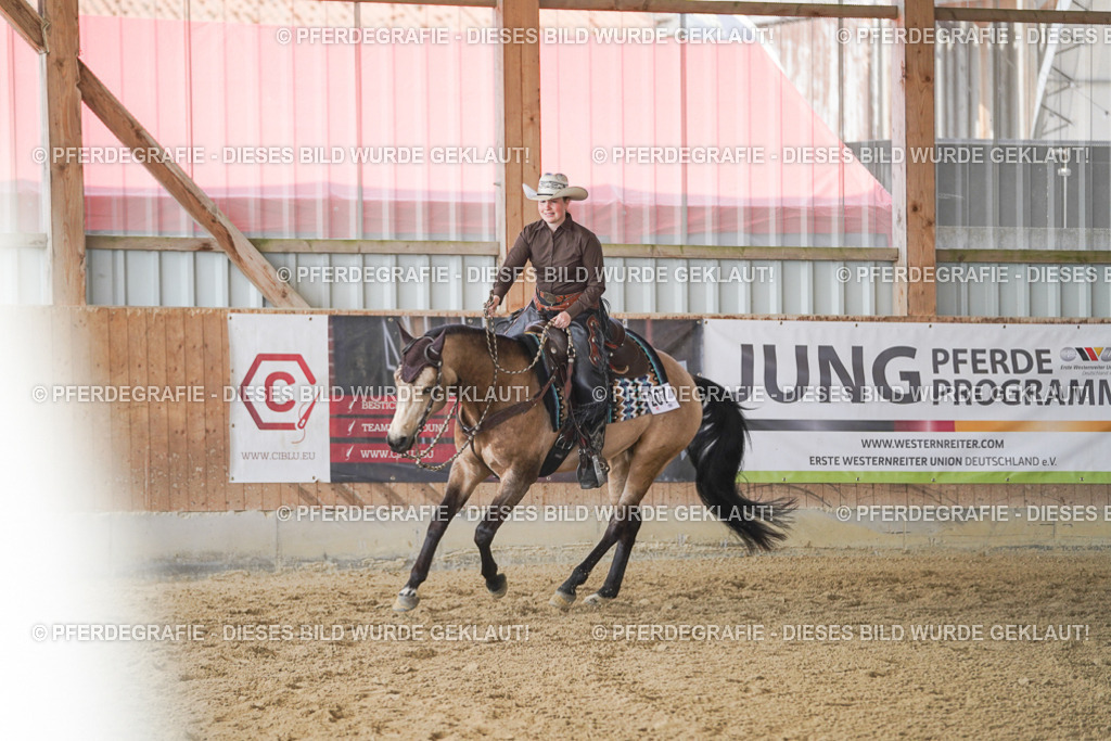 DSC00198 | Pferdegrafie