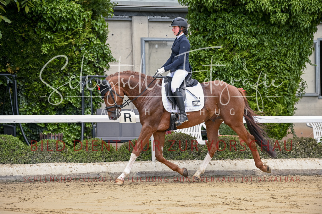 Schugtsche-Aluta25-48.Reitpferfdeprf.-147 | Schugtsche Fotografie - Realizzato con Pictrs.com