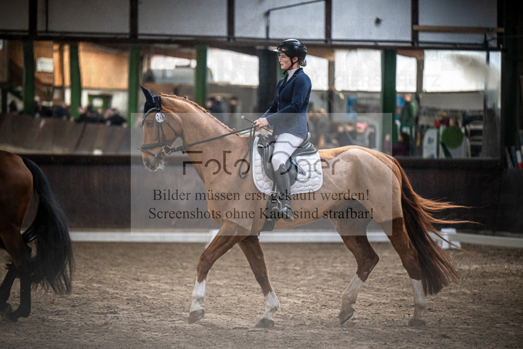 DOS_0331 | Entdecke hochwertige Reitturnierfotos von Foto Oger. Professionell, emotional und authentisch – jetzt Lieblingsmomente im Shop bestellen.Deutschlandweite Turnierfotografie. - Realisiert mit Pictrs.com