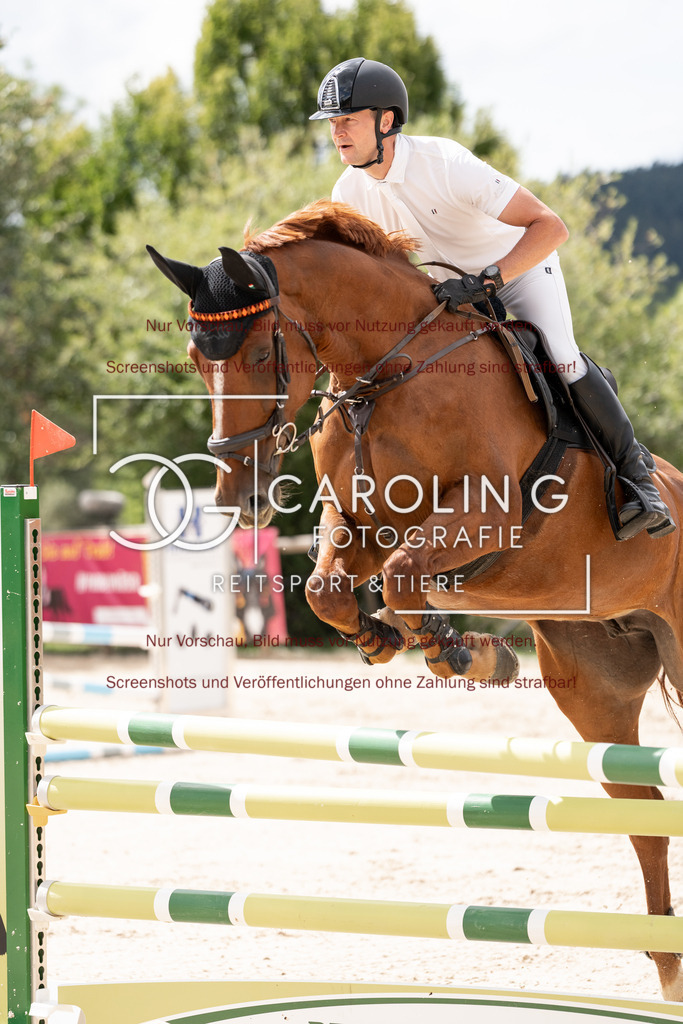 DSC06673 | Springturnier_Teamchallege_Talheim_2026, Manuel_Wilks, Renkum_Baladine