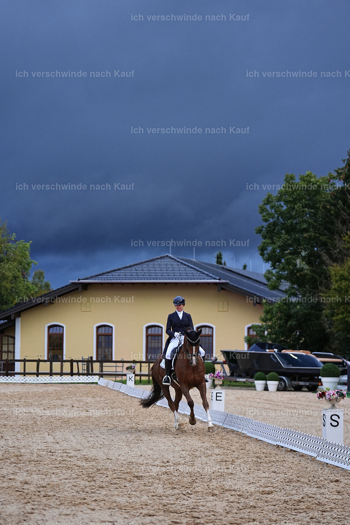 8_2-195-DRESSUR S_  -Marixx-4634 | working equitationturnier fotograf videograf stoibphotography marixx film working equitation deutschland reitsport turnierfotografie eventfotografie equestrian events