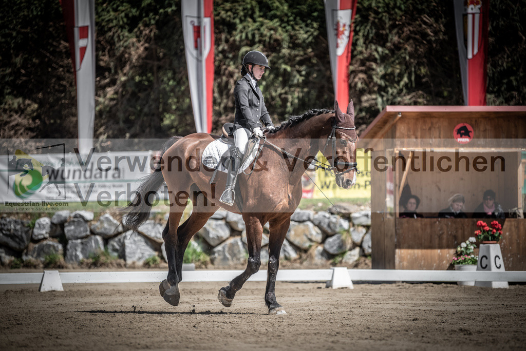 DSC_9884 | equestrian-live-com