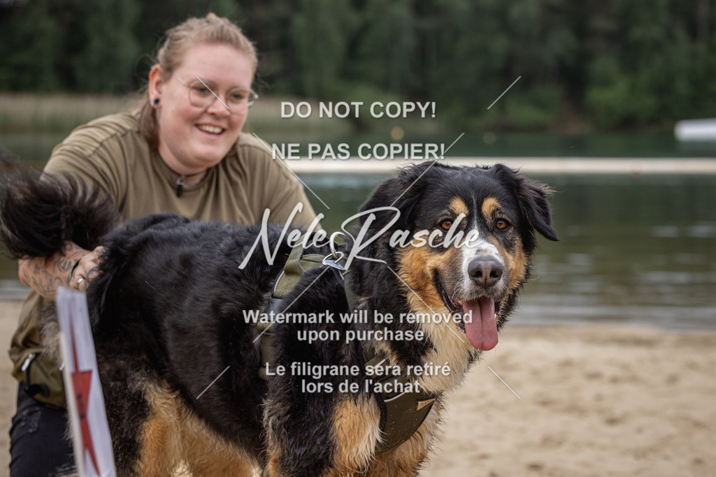 nelerasche_BuHu2026_So10-11_52 | nelerasche