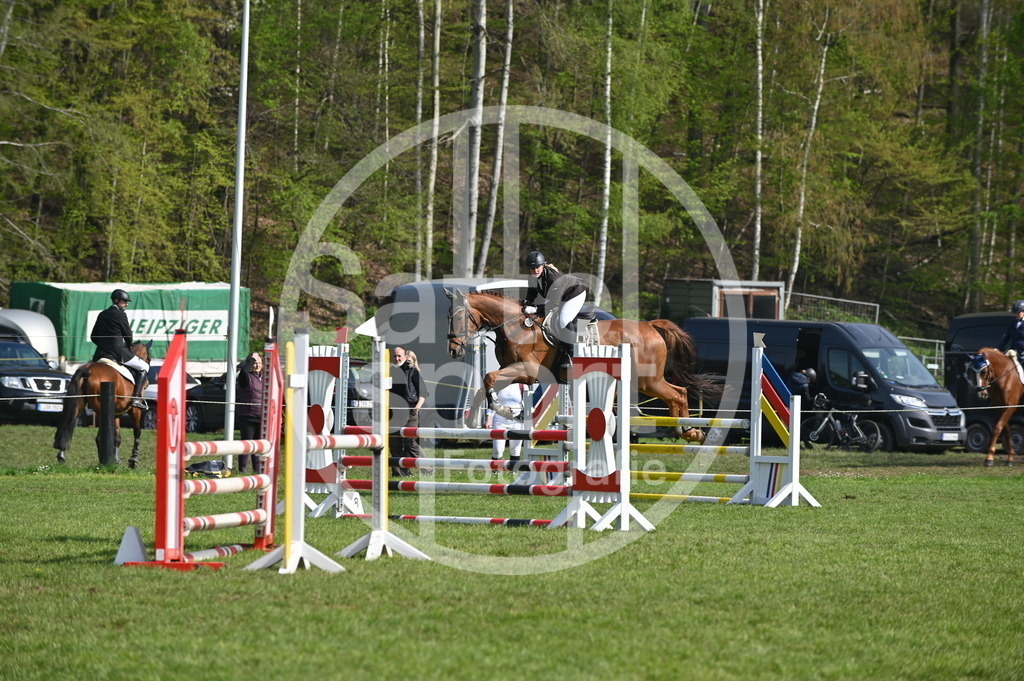 DSC_0620 | sattelsport - Realisiert mit Pictrs.com