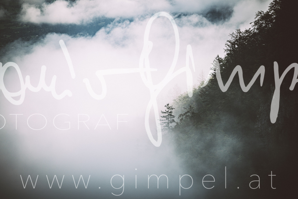 _mg12730 | Hier finden Sie Ihre Fotos aus den Fotoboxen, Privaten Fotoshootings, Businessportraits, Schulfotos oder Kindergartenfotos zum Downloaden oder professionell vom Fotolabor ausgearbeitet. Leinwanddruck in Galeriequalität.