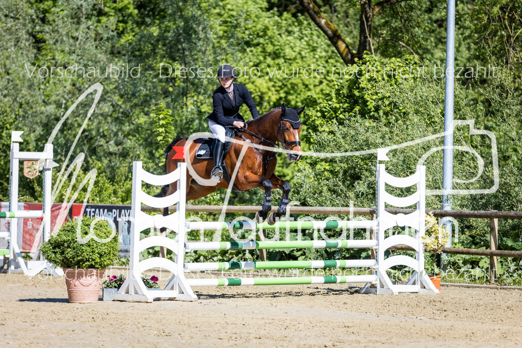 Donop24-A2Spr-099 | MomenTaufnahmen Pferdesportfotos