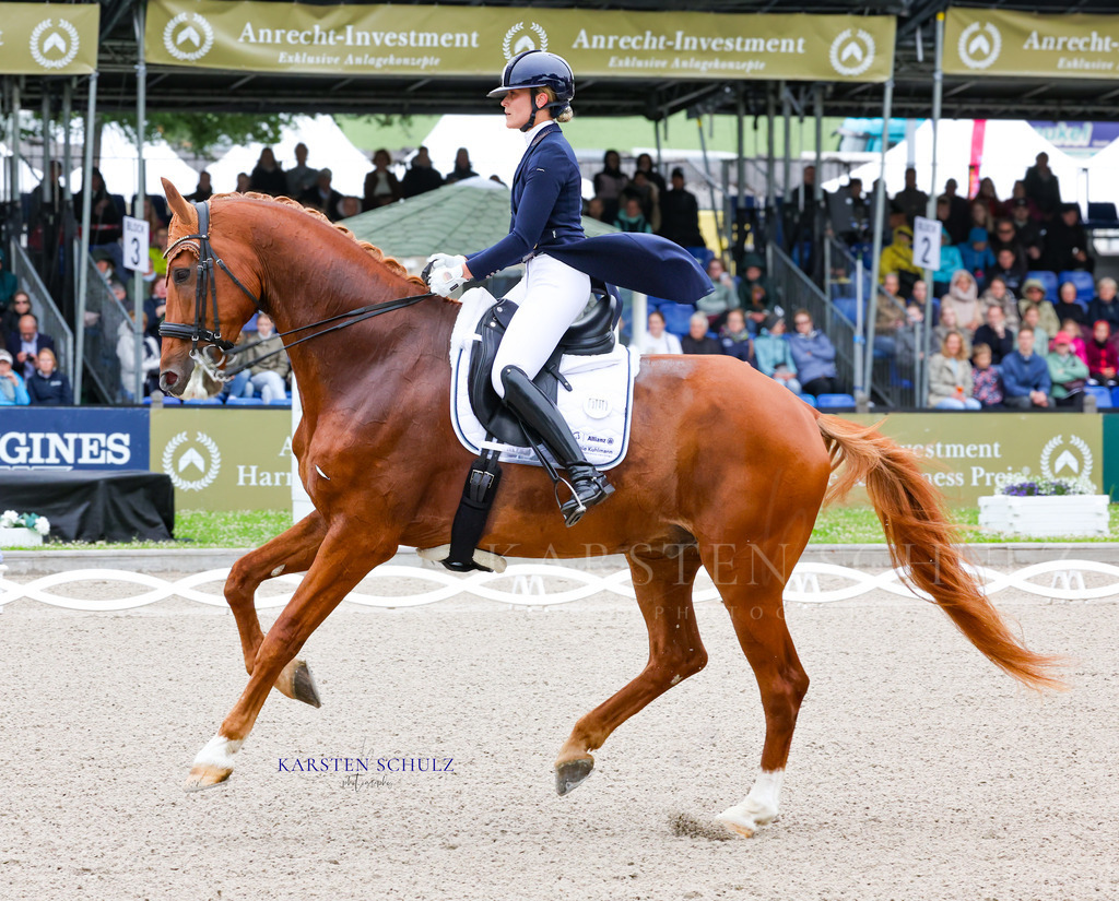 1B3A7223 | Reitsport Reiten