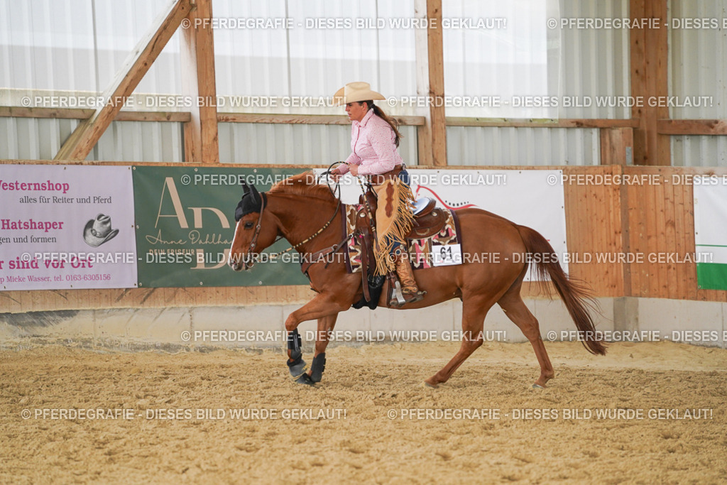 DSC02063 | Pferdegrafie